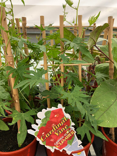 Hardware Store «Hardware Hank», reviews and photos, 1017 Central Ave NW, East Grand Forks, MN 56721, USA