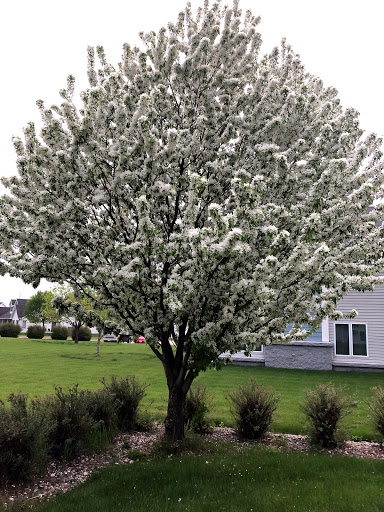 Hardware Store «Hardware Hank», reviews and photos, 1017 Central Ave NW, East Grand Forks, MN 56721, USA