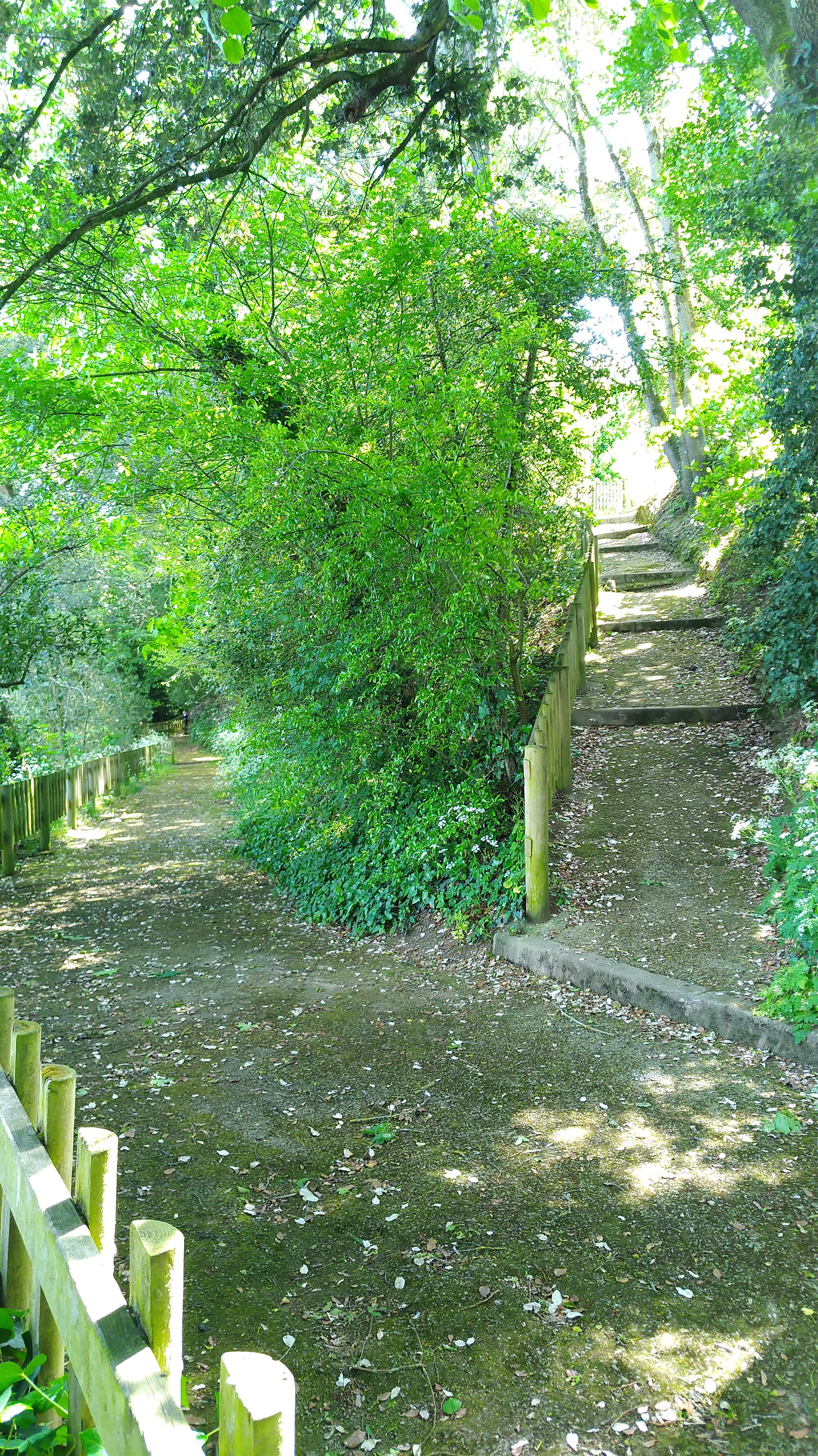 Photo n° 1 de l'avis de yves.e fait le 14/05/2019 à 05:58