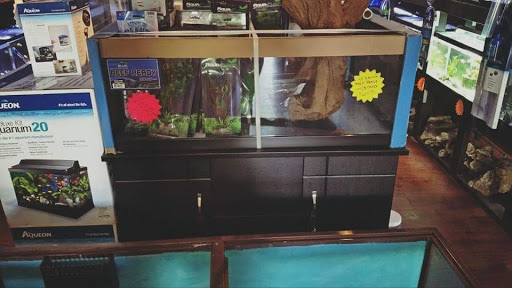 Tropical Fish Store «Aquastetics», reviews and photos, 354 E Main St, Fall River, MA 02724, USA