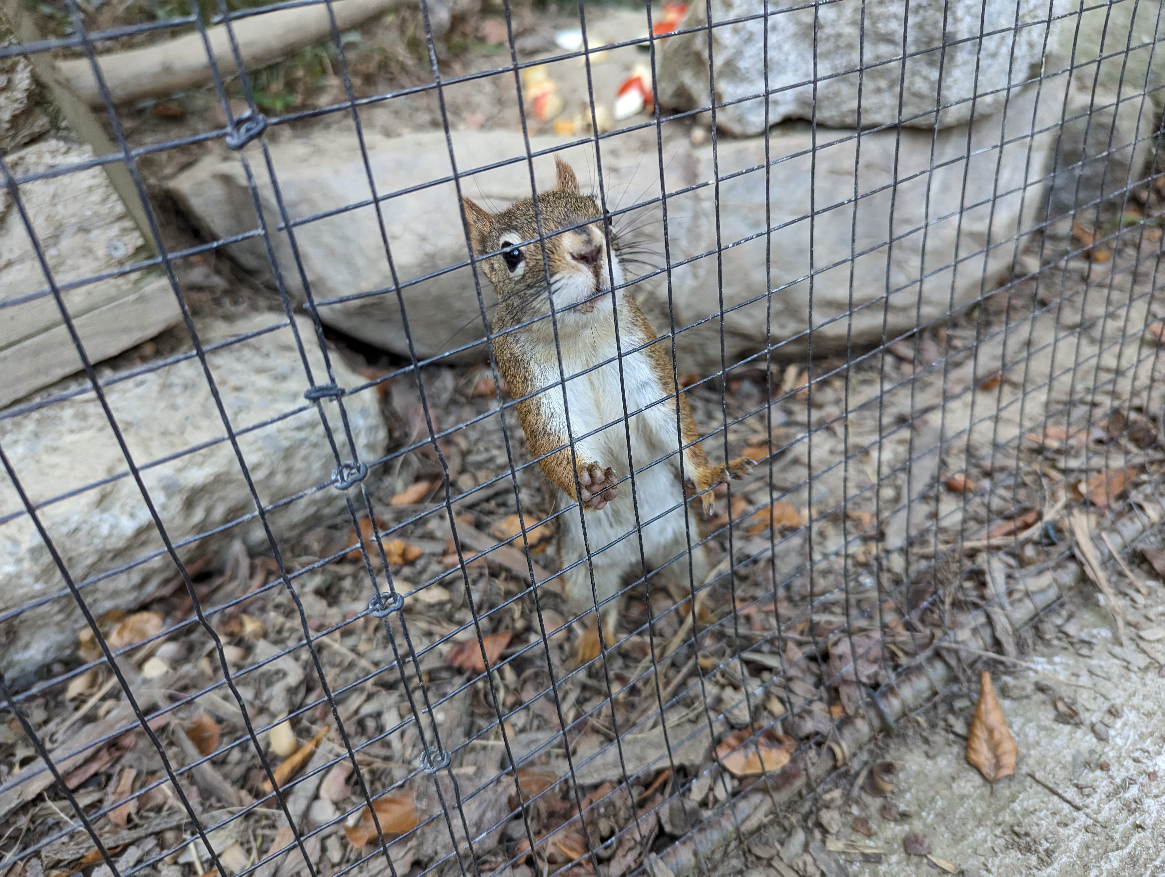 Photo n° 16 de l'avis de Thibaud.l fait le 10/10/2023 à 07:10