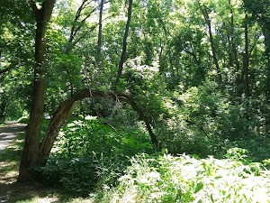 Veterans Park - photo 7