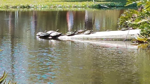 Zoo «Sarasota Jungle Gardens», reviews and photos, 3701 Bay Shore Rd, Sarasota, FL 34234, USA