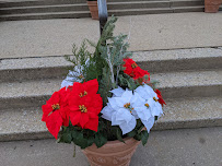 Clover Leaf Landscapes - Photo 7 - Car repair in Fresh Meadows, NY, Queens
