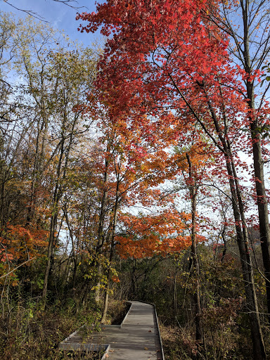 Nature Preserve «Jackson Bog State Nature Preserve», reviews and photos, 7984 Fulton Dr NW, Massillon, OH 44646, USA