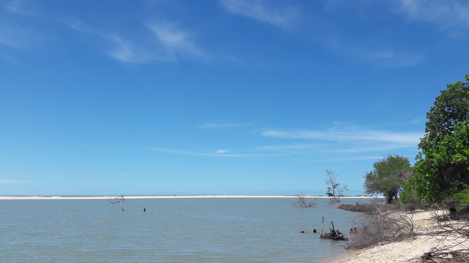 Praia do Pucal的照片 具有部分干净级别的清洁度