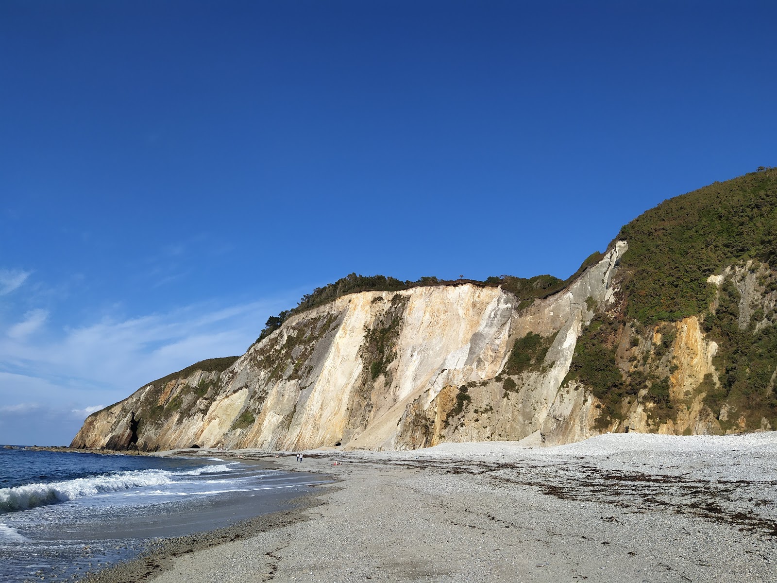Playa Pluminero O Quintana'in fotoğrafı vahşi alan