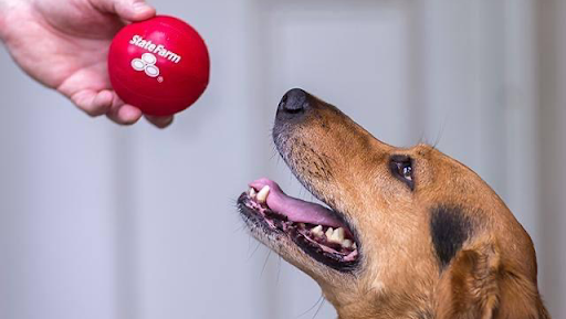 Insurance Agency «Joaquin Carrasquillo - State Farm Insurance Agent», reviews and photos