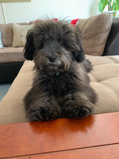 Pet Store «Pet Valu», reviews and photos, 604 Plaza Dr, Newark, DE 19702, USA