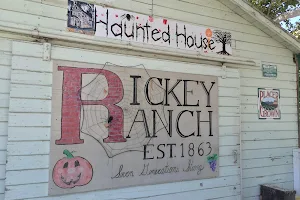 Rickey Ranch Pumpkin Farm image