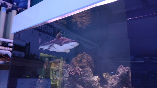 Tropical Fish Store «Richmond Aquarium», reviews and photos, 3645 Speeks Dr, Midlothian, VA 23112, USA