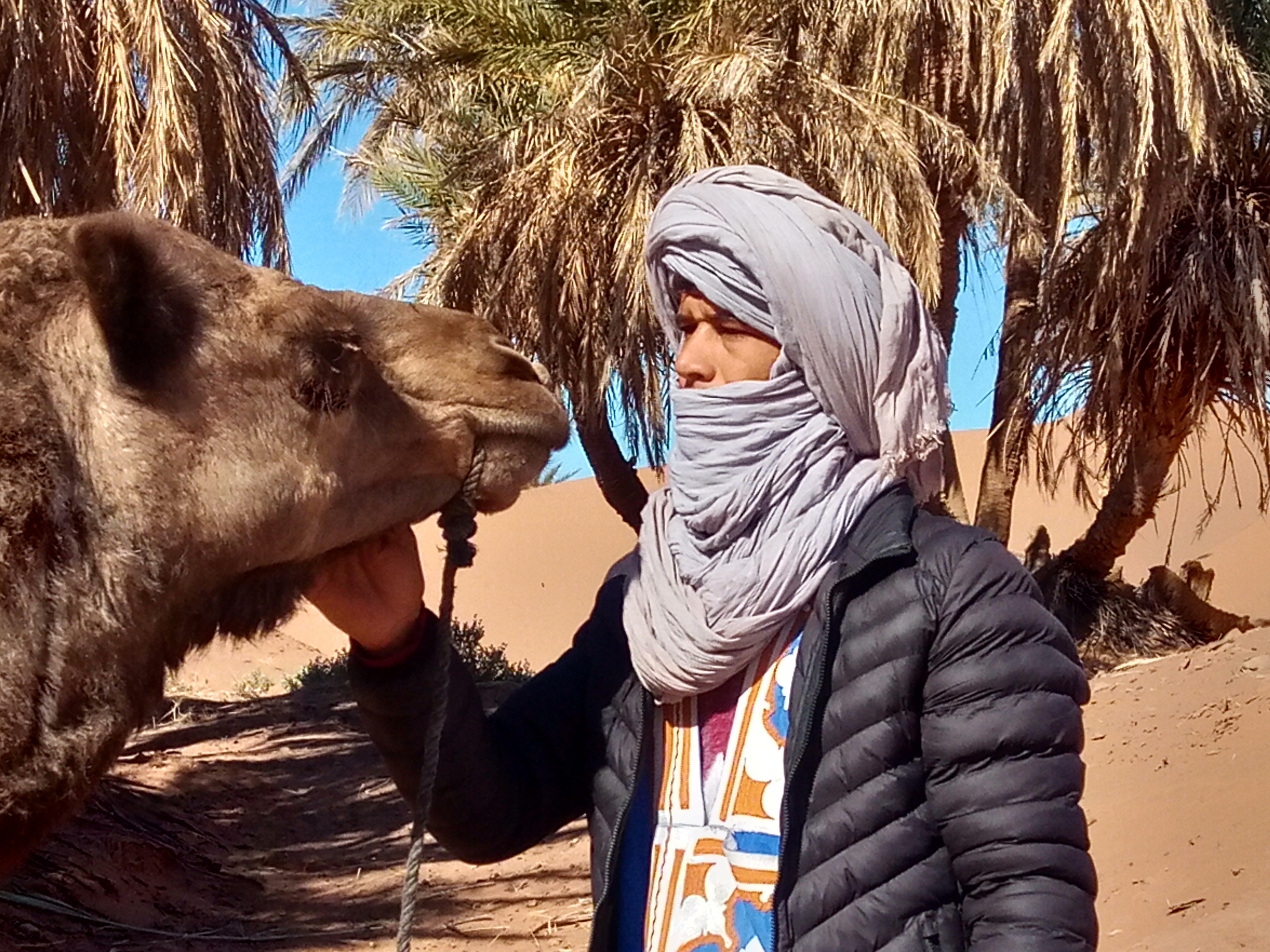 Photo n° 10 de l'avis de ayoub.l fait le 09/10/2021 à 12:18