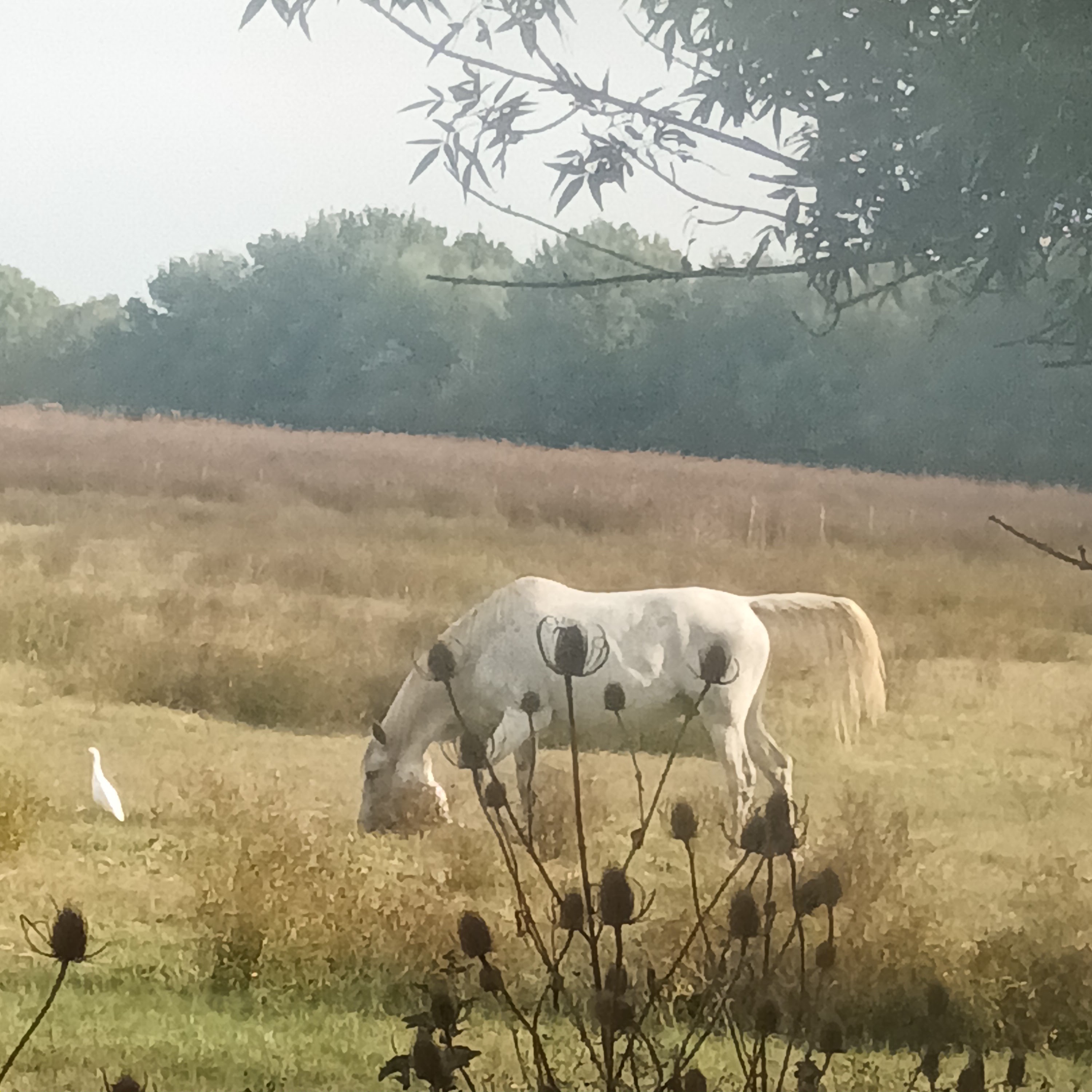 Photo n° 2 de l'avis de Jean.i fait le 03/10/2023 à 12:11