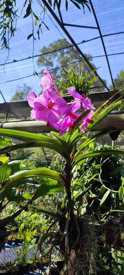 Kaziranga National Orchid and Biodiversity Park