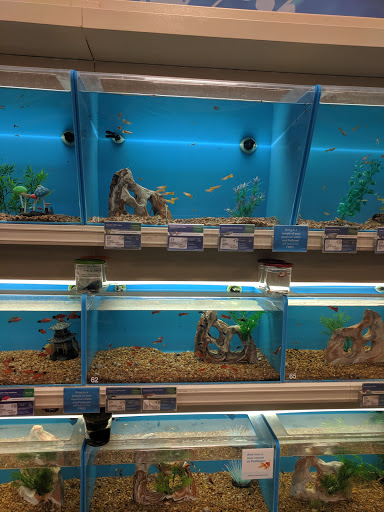 Pet Supply Store «PetSmart», reviews and photos, 863 St George Ave, Woodbridge, NJ 07095, USA