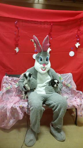 Pet Supply Store «PetSmart», reviews and photos, 1559 Merritt Blvd, Dundalk, MD 21222, USA