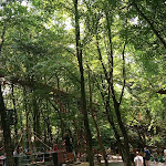 Photo n°4 de l'avis de armando.u fait le 18/06/2023 à 13:14 sur le  Osteria Ai Pioppi à Nervesa della Battaglia