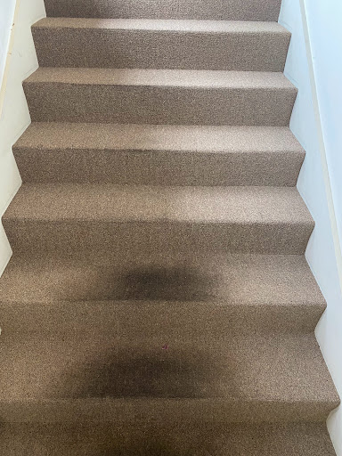 Carpet Cleaning Service «Sunshine Cleaning Services», reviews and photos, 3023 Brent Gray Trce, Owensboro, KY 42303, USA