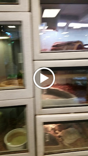 Pet Store «Exotic Pets», reviews and photos, 2410 N Decatur Blvd #160, Las Vegas, NV 89108, USA
