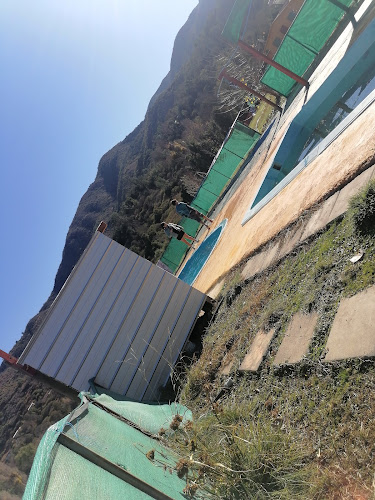 Donde El Pato - Camping y Cabañas En Colliguay - Camping