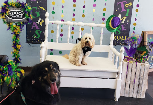 Pet Supply Store «3 Dogs and a Chick», reviews and photos, 130 Miracle Strip Pkwy SE, Fort Walton Beach, FL 32548, USA