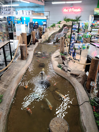 Tropical Fish Store «The Ocean Floor», reviews and photos, 2347 W Thomas Rd, Phoenix, AZ 85015, USA