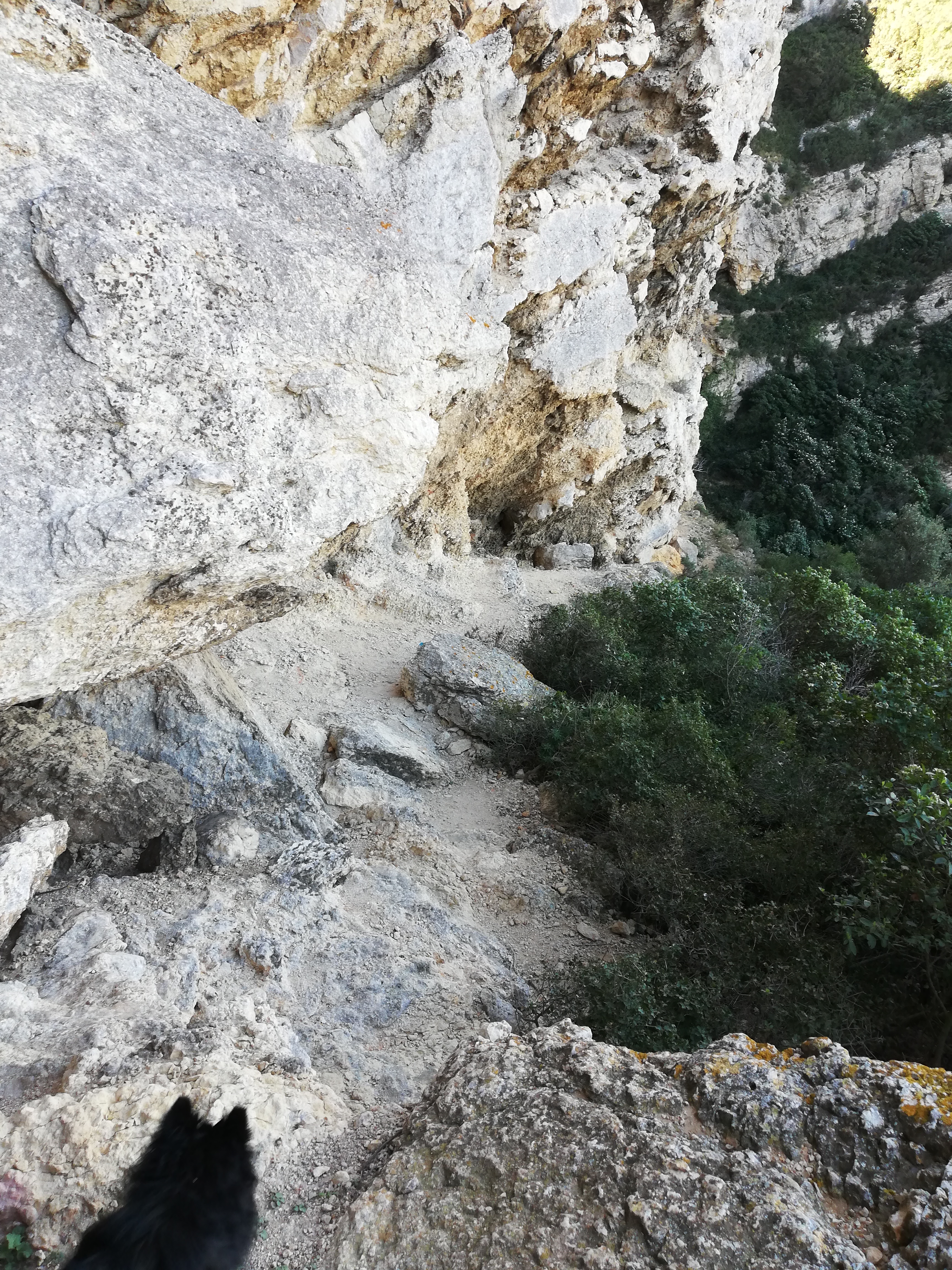 Photo n° 5 de l'avis de La.r fait le 11/04/2019 à 06:57