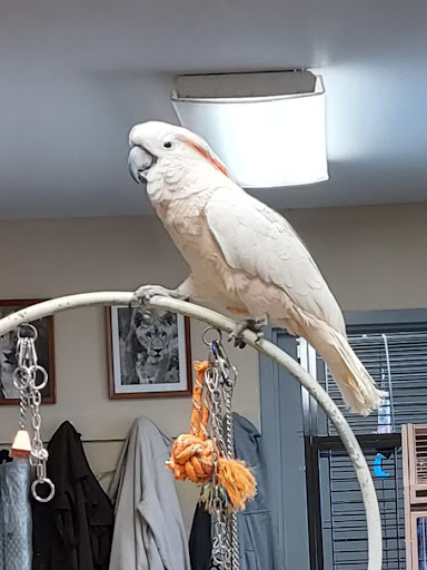 Zoo «Sierra Safari Zoo», reviews and photos, 10200 N Virginia St, Reno, NV 89506, USA