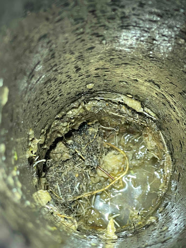 Plumber «Dependable Rooter and Plumbing», reviews and photos, 820 Faulstich Ct, San Jose, CA 95112, USA