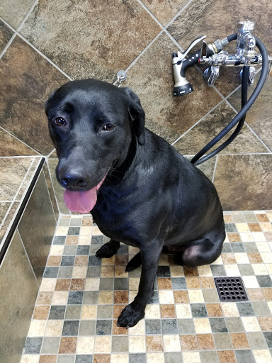 Pet Supply Store «Pet Valu», reviews and photos, 2738 Sidney St, Pittsburgh, PA 15203, USA