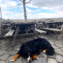 Photos du propriétaire du Restaurant français Buron de l'Aubrac à Saint-Chély-d'Aubrac - n°7