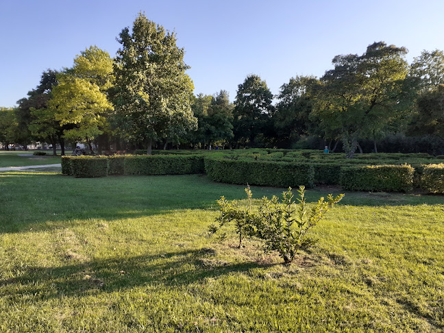 Comentarii opinii despre Kneipp Park