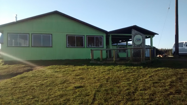Opiniones de Escuela Alto Yani en Arauco - Escuela