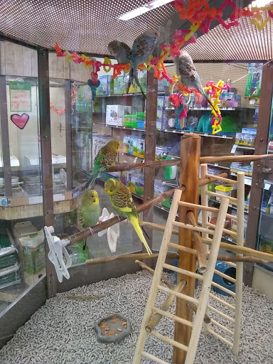 Pet Supply Store «Petco Animal Supplies», reviews and photos, 3454 Palmer Dr #7a, Cameron Park, CA 95682, USA