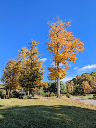 Golf Course «The Legacy Golf Course», reviews and photos, 100 Ray Floyd Dr, Springfield, TN 37172, USA