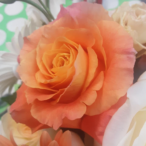 Florist «Given-Erwin Florist», reviews and photos, 328 Cambridge St, Burlington, MA 01803, USA