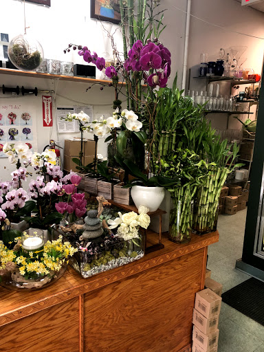 Florist «Station Flowers», reviews and photos, 18 Garth Rd, Scarsdale, NY 10583, USA
