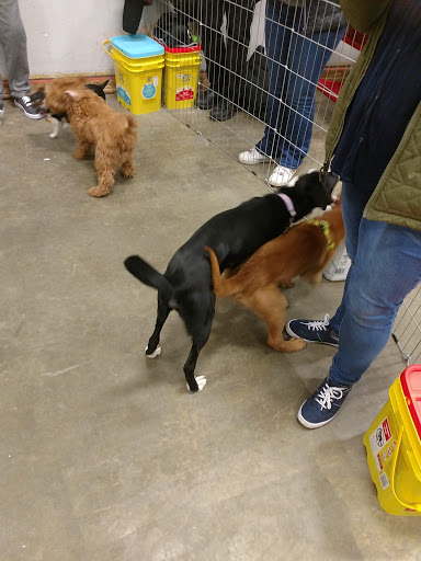 Pet Supply Store «Petco Animal Supplies», reviews and photos, 3110 S Louise Ave, Sioux Falls, SD 57106, USA