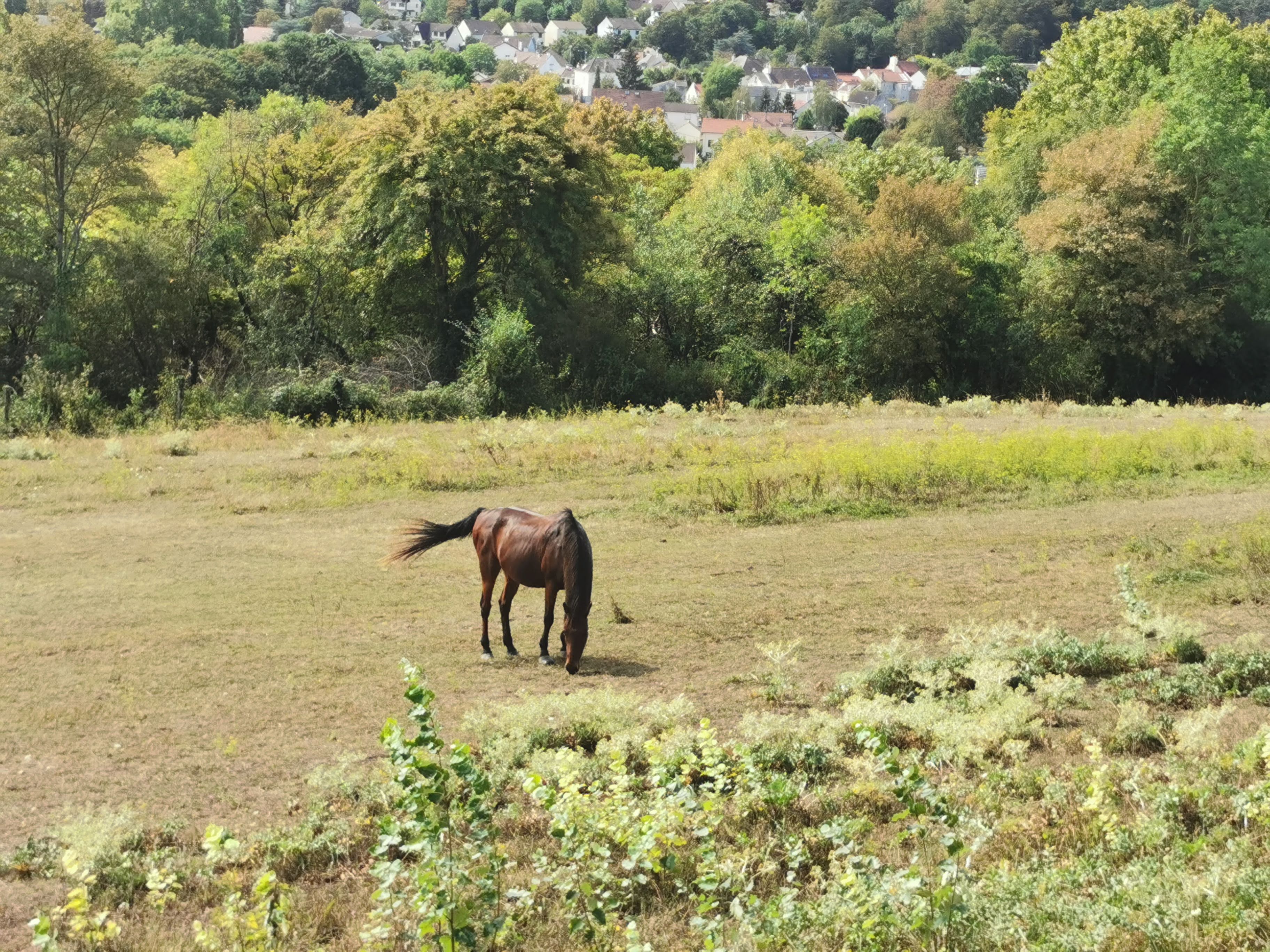 Photo n° 2 de l'avis de Bruno.r fait le 23/08/2020 à 11:53