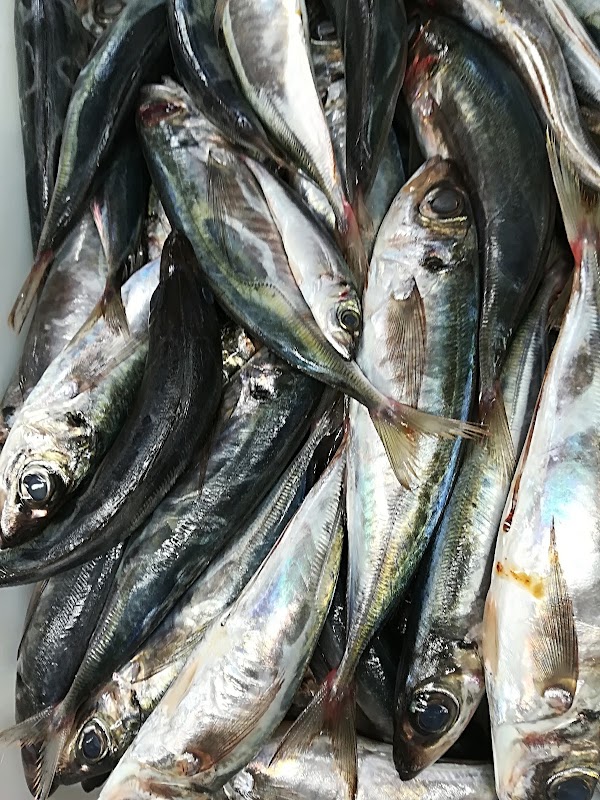Pescadería Fontana