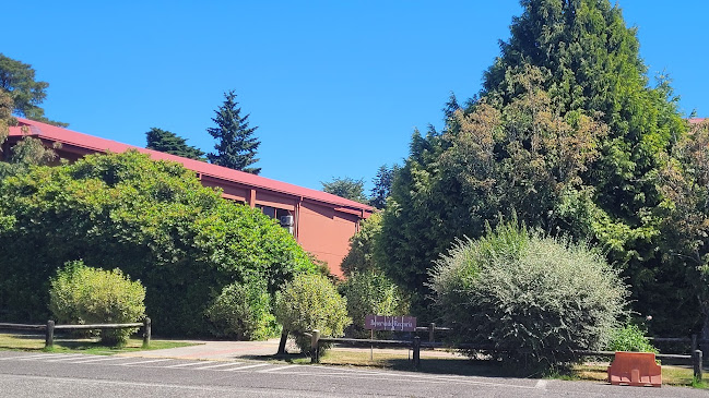 Universidad Austral de Chile - Universidad