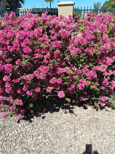 Non-Profit Organization «UMOM», reviews and photos