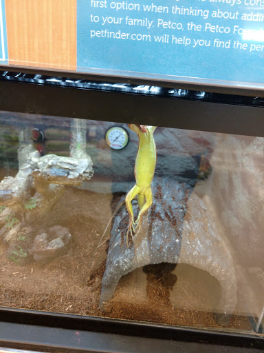 Pet Supply Store «Petco Animal Supplies», reviews and photos, 10511 S 15th St, Bellevue, NE 68123, USA