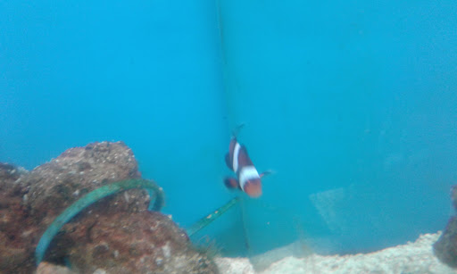 Pet Supply Store «Petco Animal Supplies», reviews and photos, 3430 W State St, Grand Island, NE 68803, USA