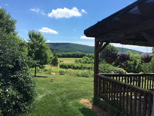 Vineyard «868 Estate Vineyards», reviews and photos, 14001 Harpers Ferry Rd, Purcellville, VA 20132, USA