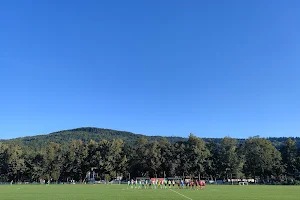 Stadion Miejskiego Klubu Sportowego Dalin Myślenice image