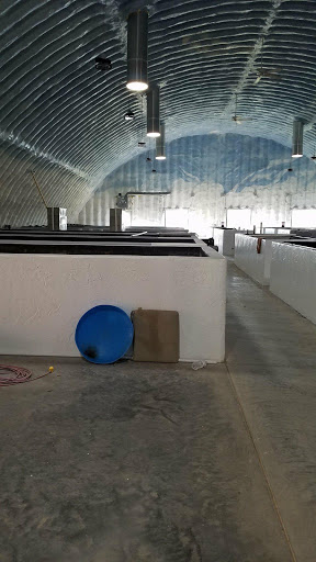 Fish Farm «Kloubec Koi», reviews and photos, 1375 Baxter Ave NW, Amana, IA 52203, USA