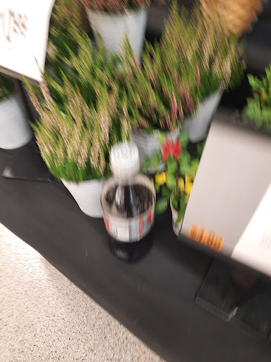 Supermarket «Giant», reviews and photos, 7142 Arlington Rd, Bethesda, MD 20814, USA