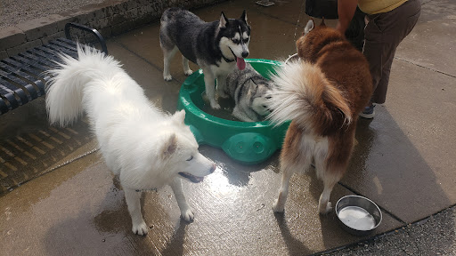 Park «Chicago Park District», reviews and photos, 5505 W Berteau Ave, Chicago, IL 60641, USA