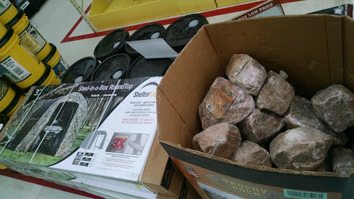 Home Improvement Store «Tractor Supply Co.», reviews and photos, 609 N Dupont Blvd, Milford, DE 19963, USA